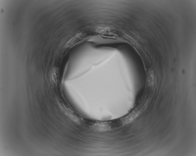 X0000086110280200704091426