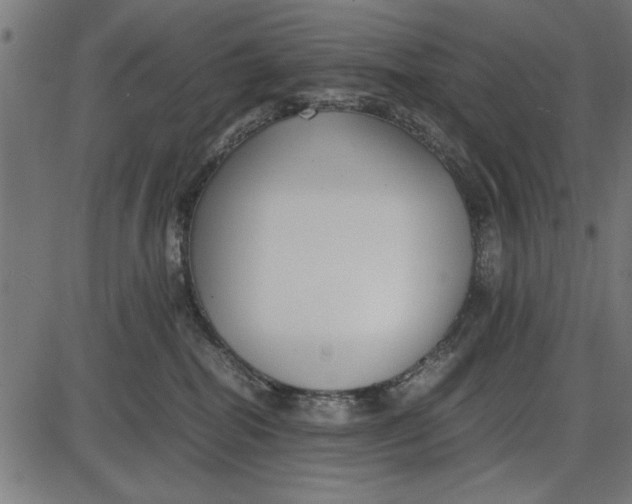 X0000086110282200704091426