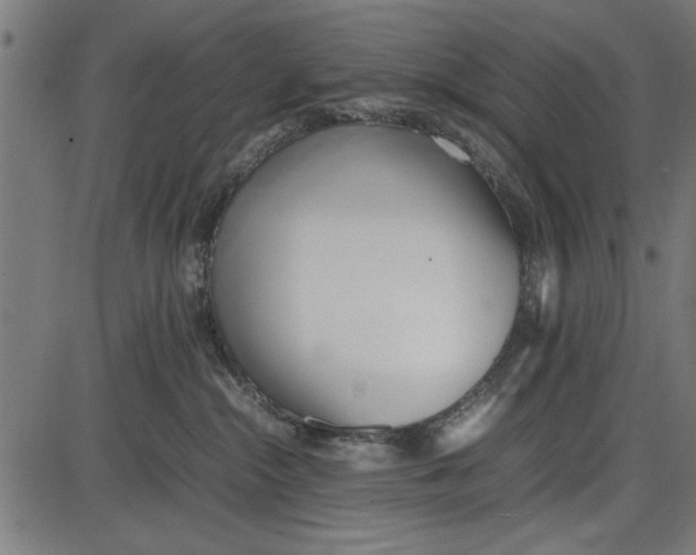 X0000086110284200704091426