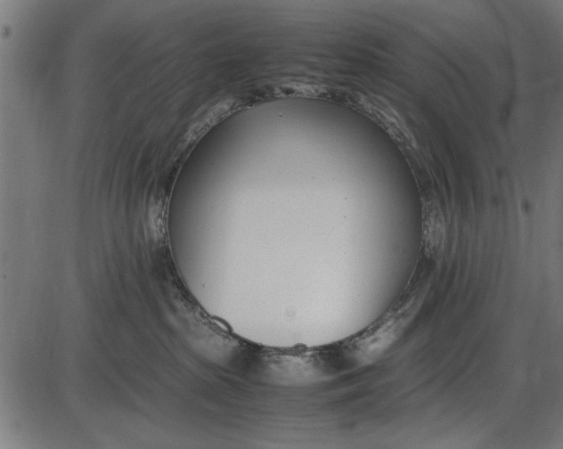 X0000086110285200704091426