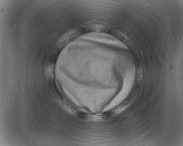 X0000086110286200704091426