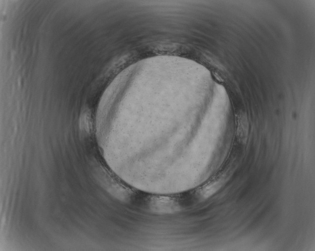 X0000086110287200704091426