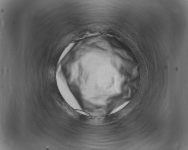 X0000086110288200704091426