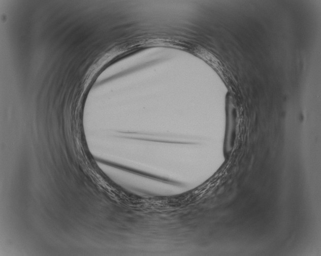 X0000086110289200704091425