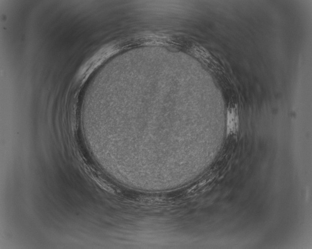 X0000086110291200704091425