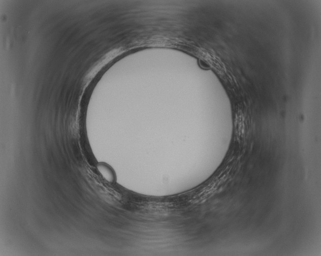 X0000086110292200704091425