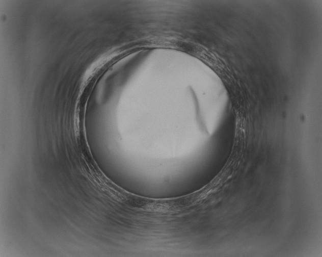 X0000086110294200704091425