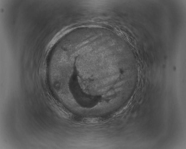 X0000086110295200704091425