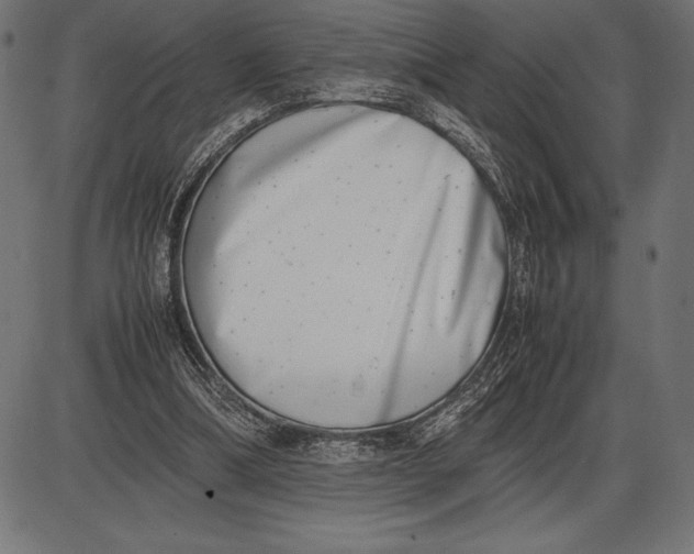 X0000086110298200704091425