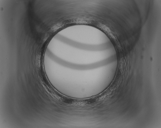 X0000086110299200704091425