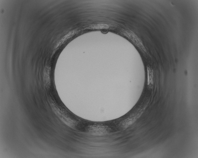 X0000086110300200704091425