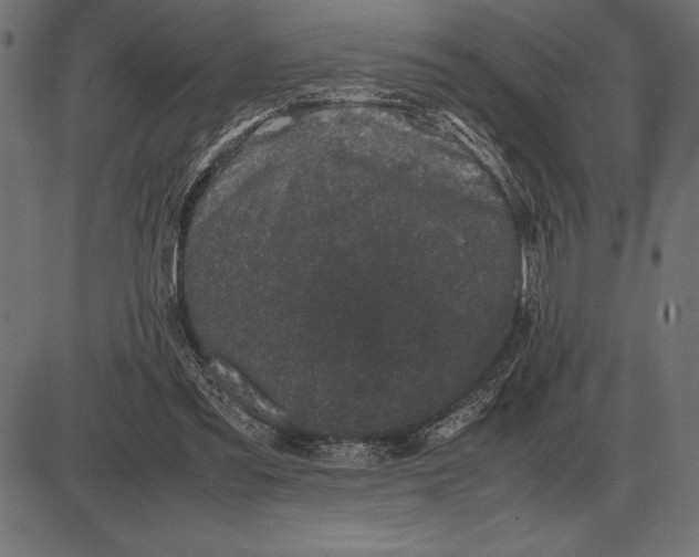 X0000086110301200704091425