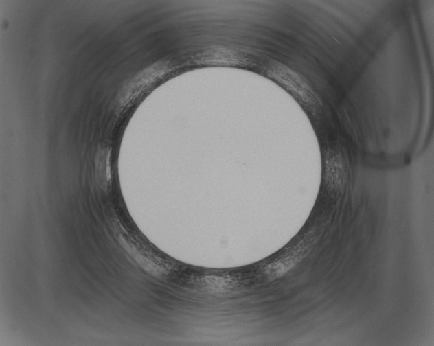 X0000086110302200704091425