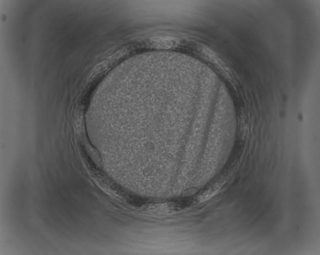 X0000086110307200704091425