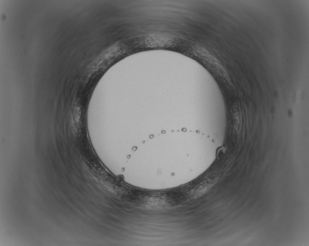 X0000086110308200704091425