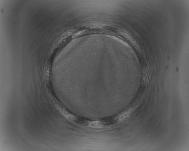 X0000086110309200704091425