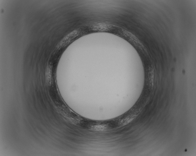 X0000086110312200704091425