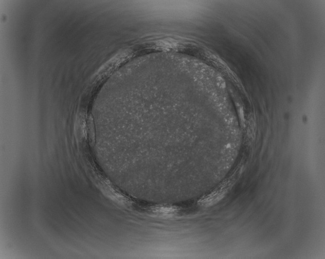 X0000086110313200704091425