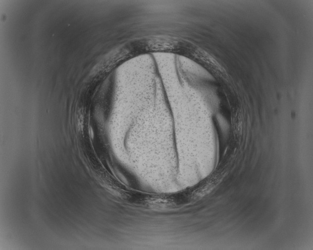 X0000086110315200704091425