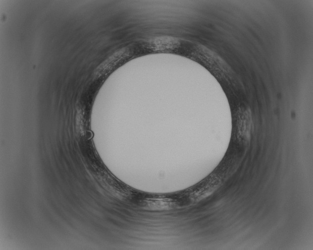 X0000086110316200704091425