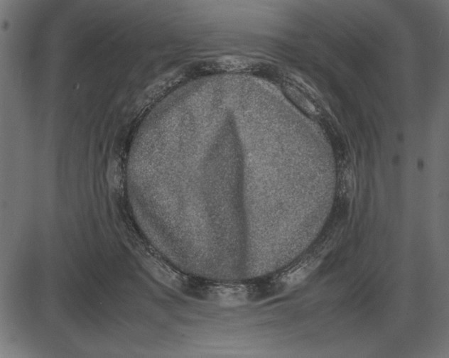 X0000086110317200704091425