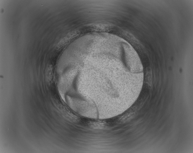 X0000086110318200704091425