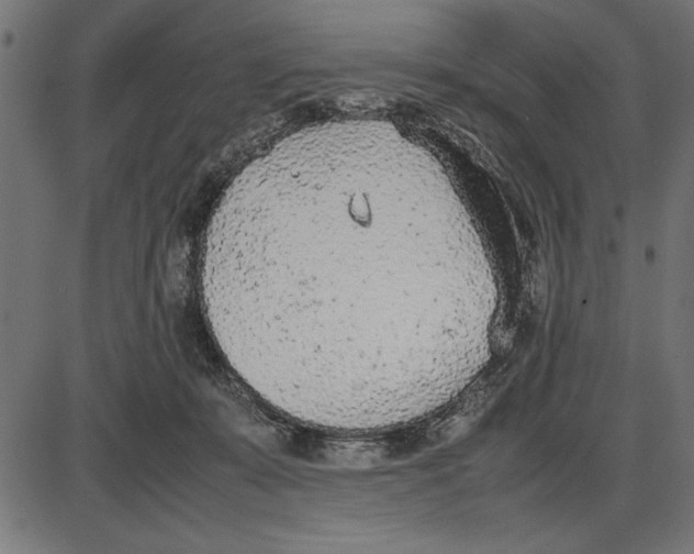 X0000086110319200704091425