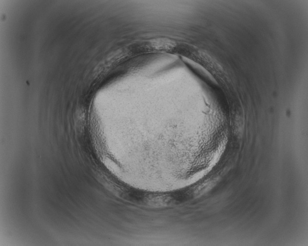 X0000086110321200704091425