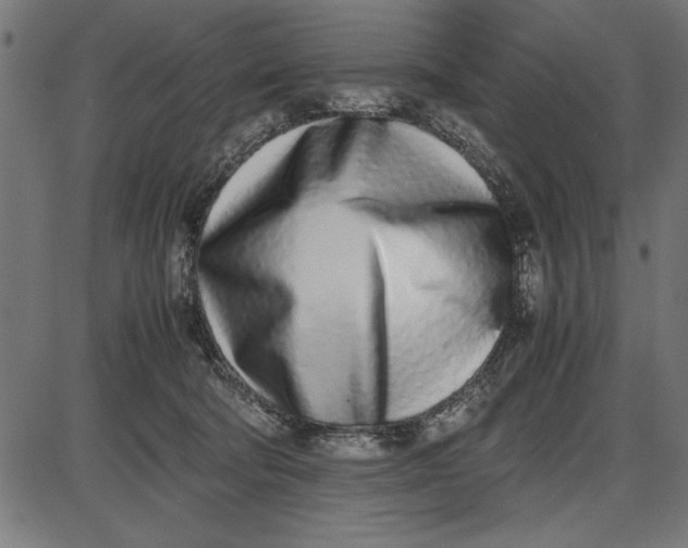 X0000086110322200704091425