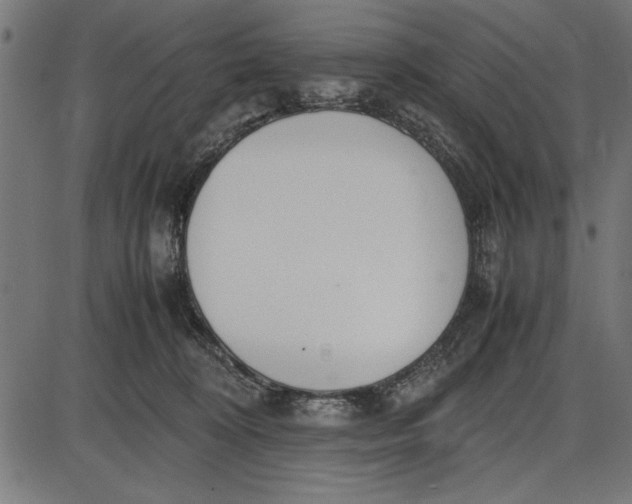 X0000086110324200704091425