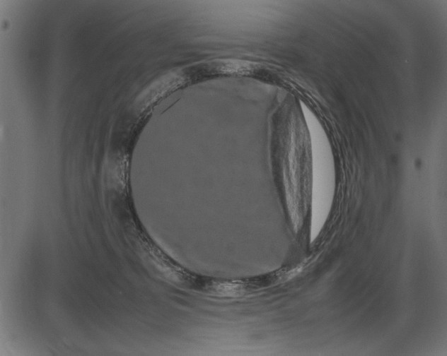 X0000086110325200704091425