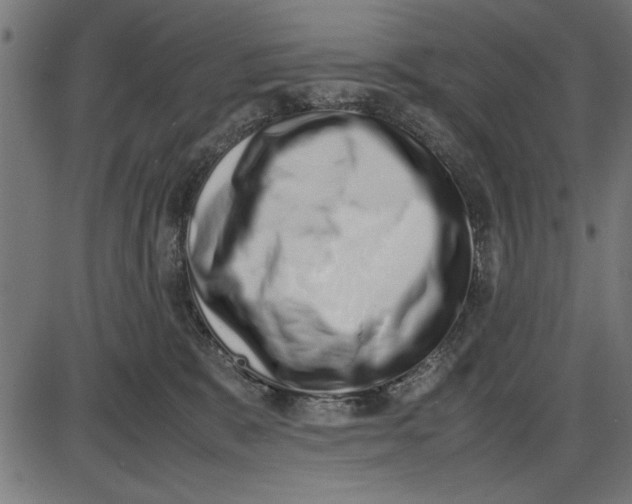 X0000086110327200704091425