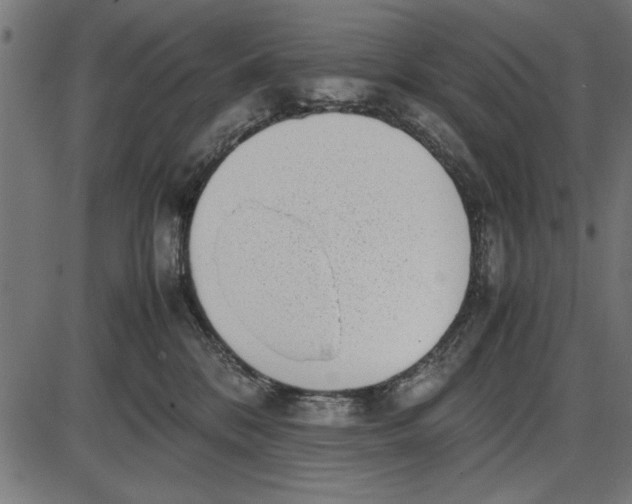 X0000086110328200704091425