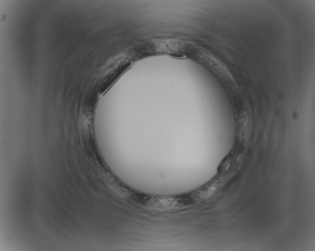 X0000086110329200704091425