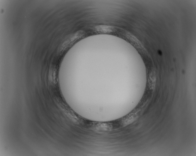 X0000086110330200704091425