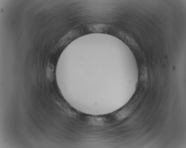 X0000086110332200704091425