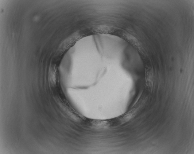 X0000086110334200704091425