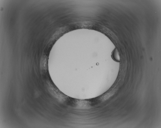 X0000086110336200704091425