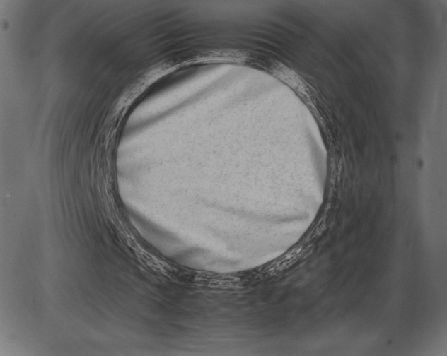 X0000086110337200704091424