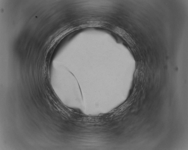 X0000086110338200704091424