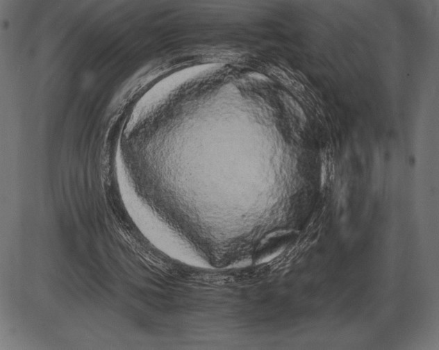 X0000086110339200704091424