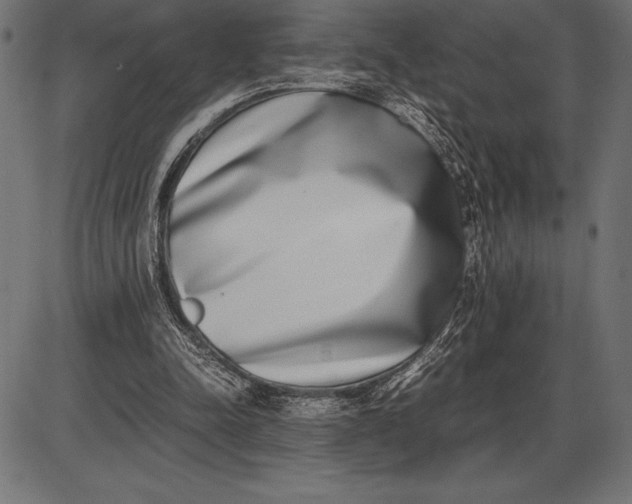 X0000086110342200704091424