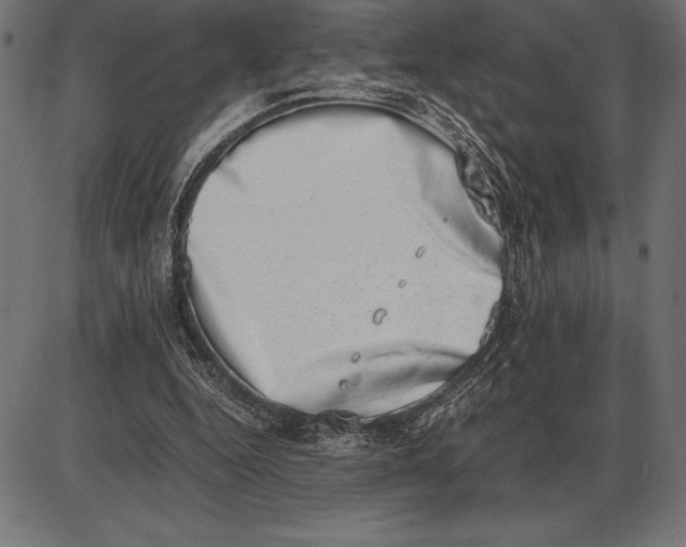 X0000086110344200704091424