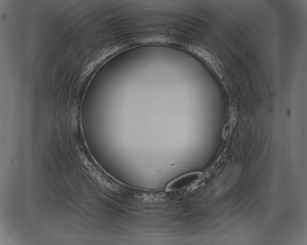 X0000086110345200704091424