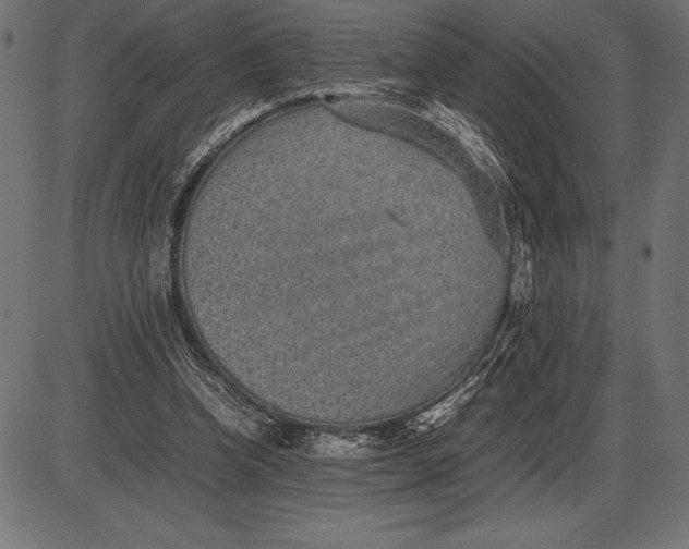 X0000086110346200704091424