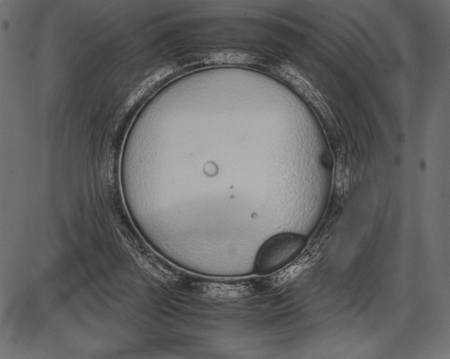 X0000086110347200704091424