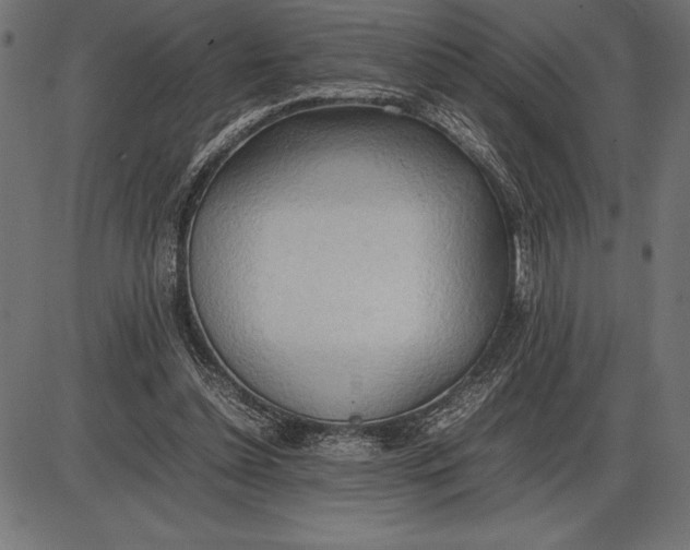 X0000086110348200704091424