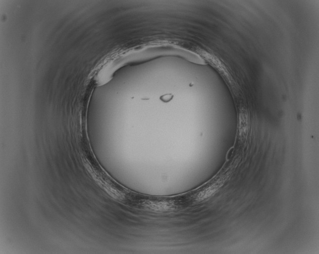 X0000086110349200704091424