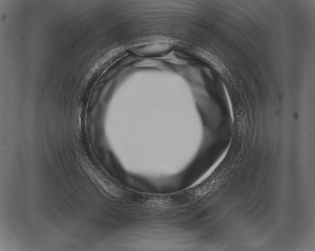 X0000086110350200704091424