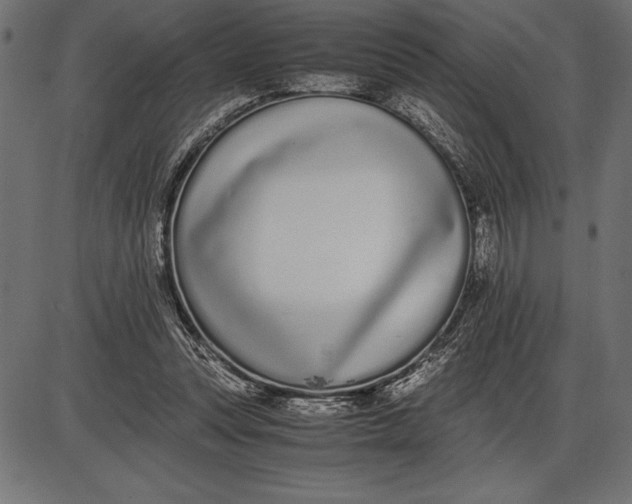 X0000086110351200704091424